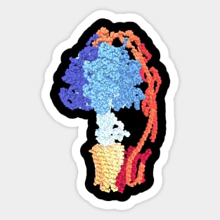 ATP synthase (bright color) Sticker